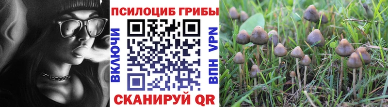 наркотики  Новоаннинский  Галлюциногенные грибы мухоморы 